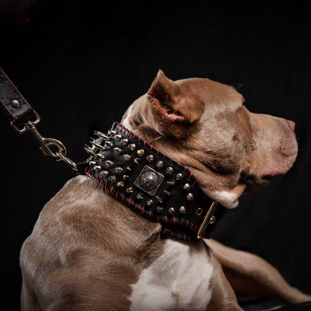 the "DAVID" hand stitched 3.15 inch wide show collar-1