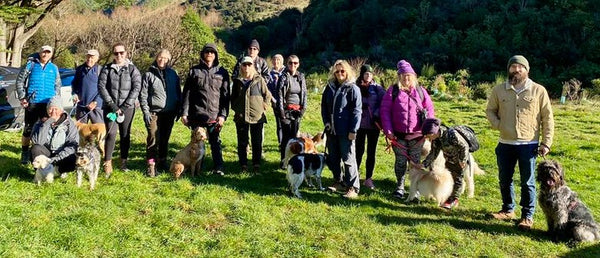 NZ Dogs Fundraiser Walk