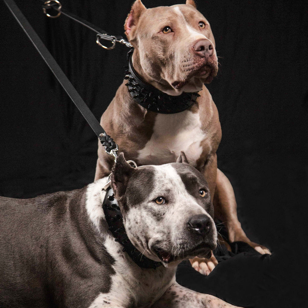 The Bestia multi purpose Police leash-4