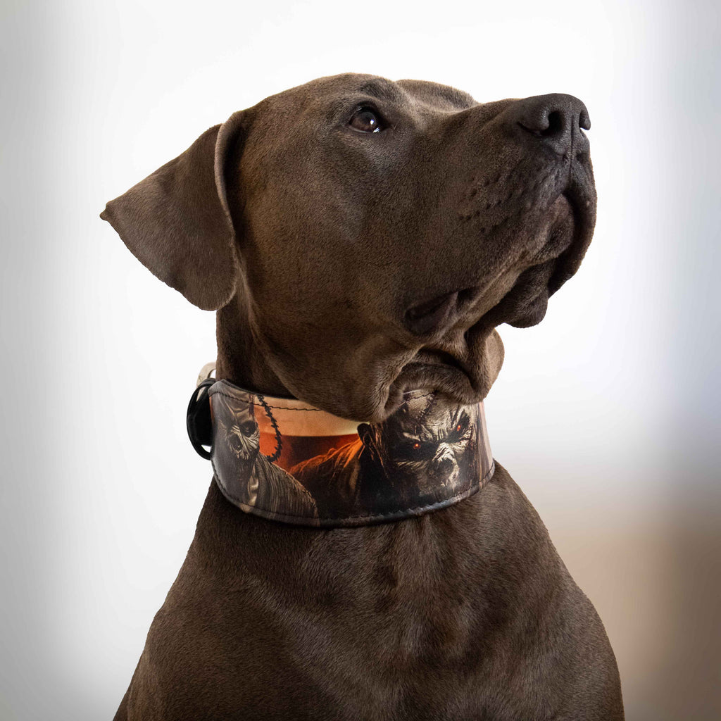 The Scare Collar Limited-4