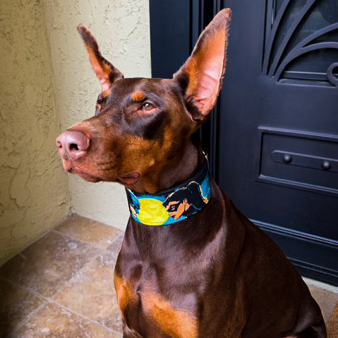 The BCW Limited Collar-4