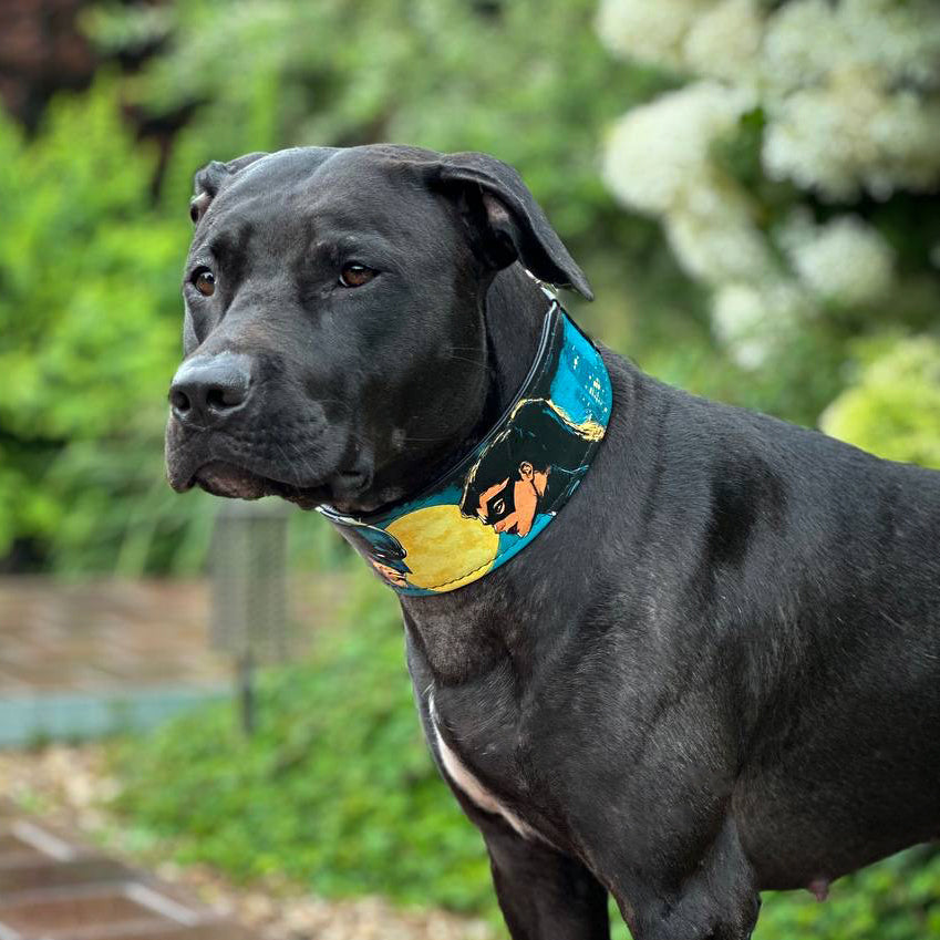 The BCW Limited Collar-3