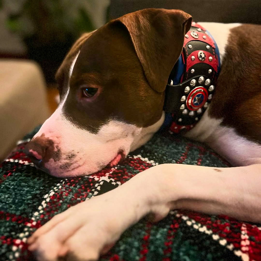 ''Captain A'' Collar-4