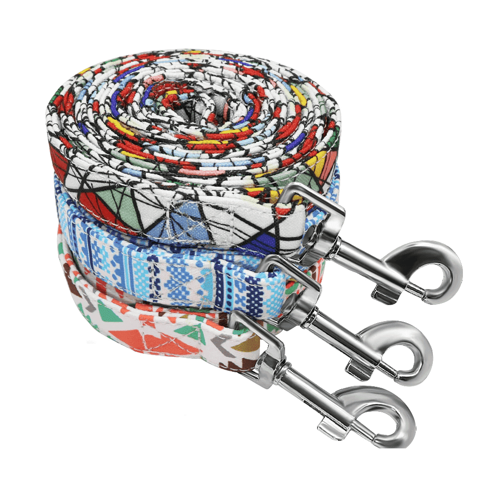 ⭐️Purr. Meow. Woof.⭐️ - Art Deco Dog Lead - Blue