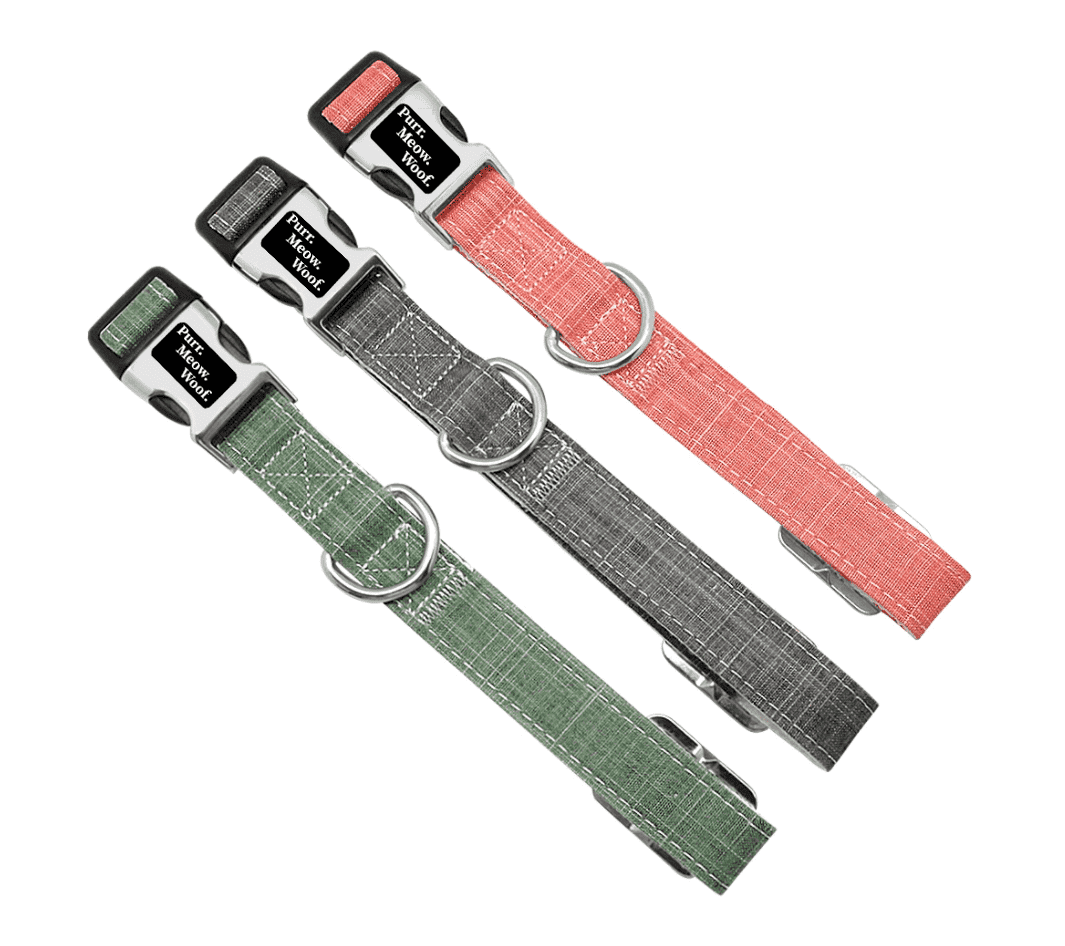 ⭐️Purr. Meow. Woof.⭐️ - Canvas Dog Collar - Grey / S