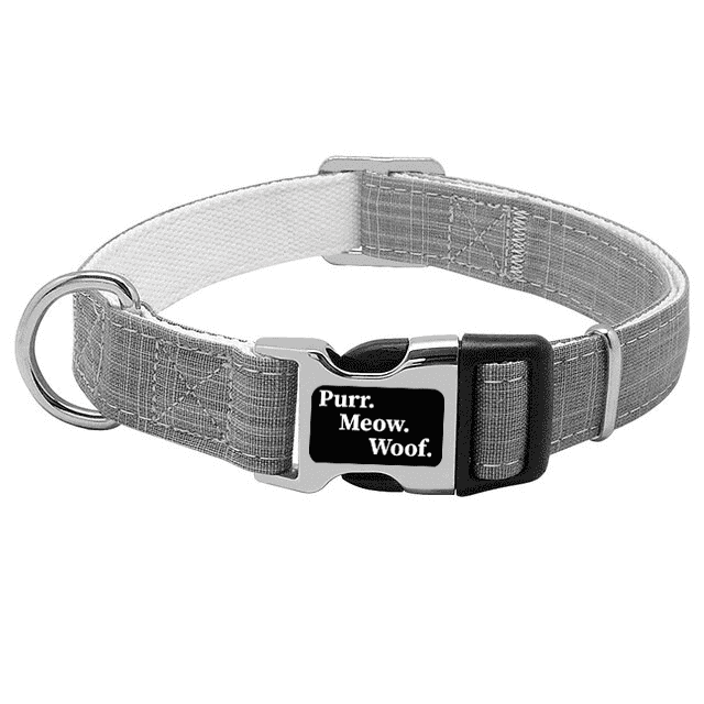 ⭐️Purr. Meow. Woof.⭐️ - Canvas Dog Collar - Grey / S