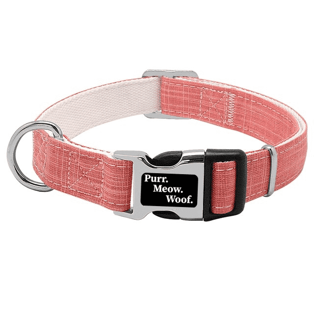 ⭐️Purr. Meow. Woof.⭐️ - Canvas Dog Collar - LightCoral / S