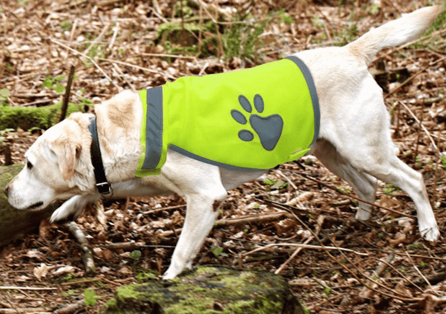 ⭐️Purr. Meow. Woof.⭐️ - Cat & Dog High Vis Vest - Small