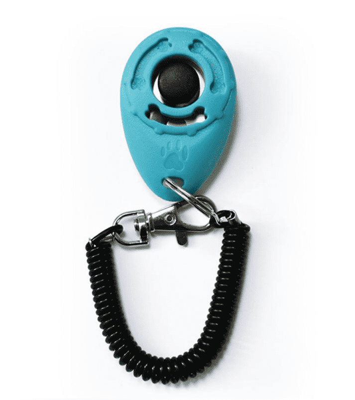 ⭐️Purr. Meow. Woof.⭐️ - Dog Training Clicker - MediumTurquoise
