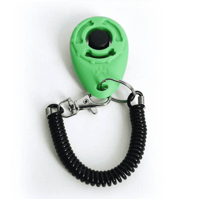 ⭐️Purr. Meow. Woof.⭐️ - Dog Training Clicker - SpringGreen