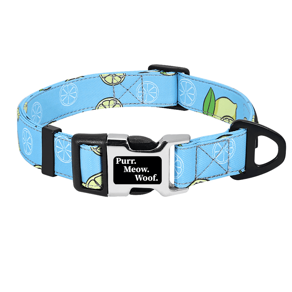 ⭐️Purr. Meow. Woof.⭐️ - Fruity Flavours Dog Collar - Lemon / S / No