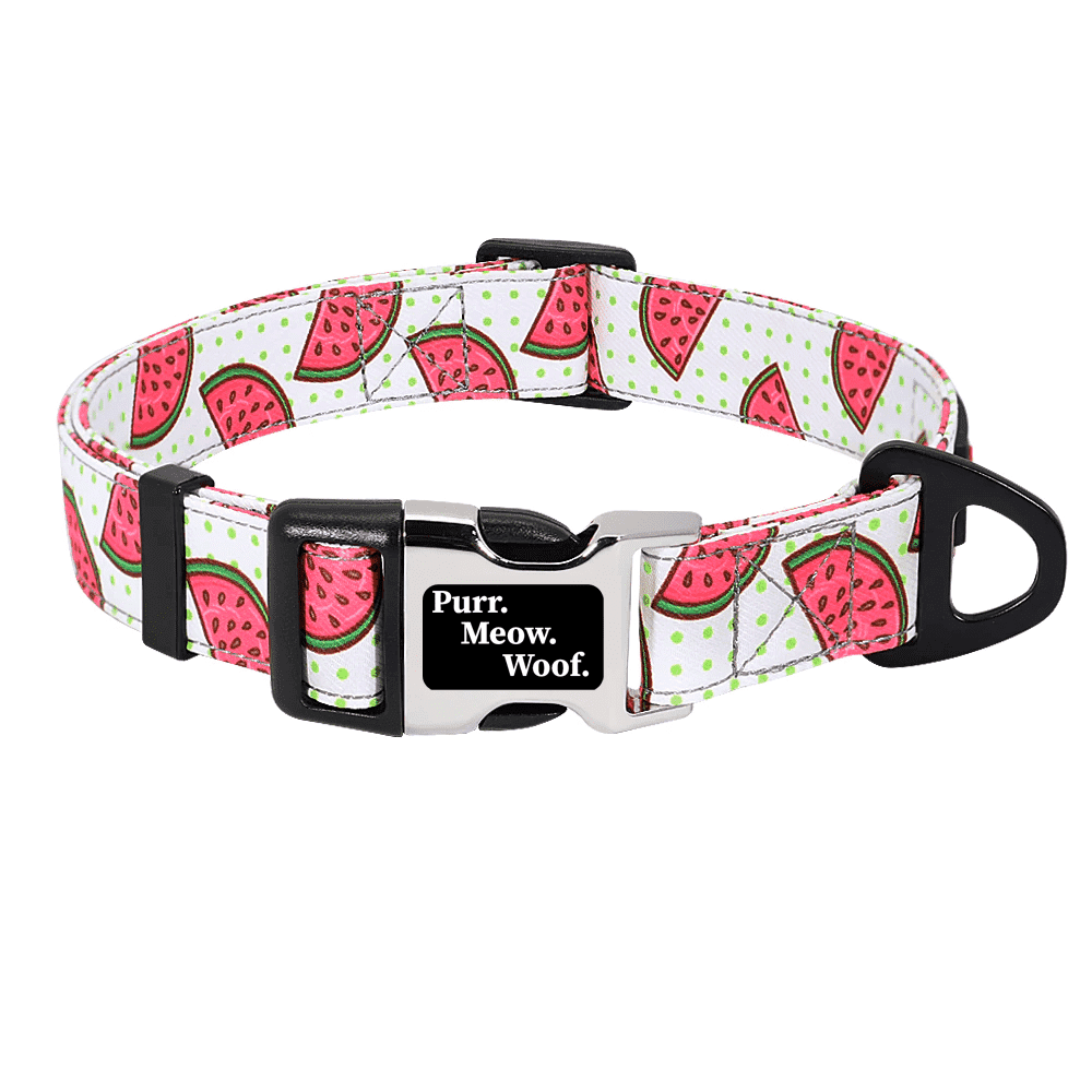 ⭐️Purr. Meow. Woof.⭐️ - Fruity Flavours Dog Collar - Water melon / S / No