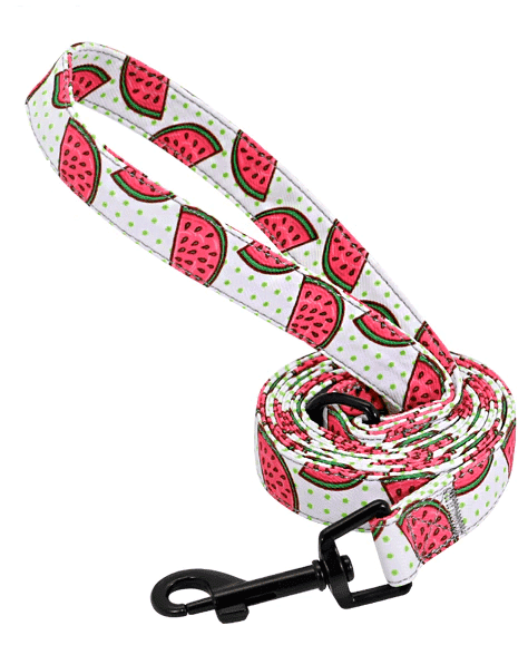 ⭐️Purr. Meow. Woof.⭐️ - Fruity Flavours Dog Lead - Water Melon