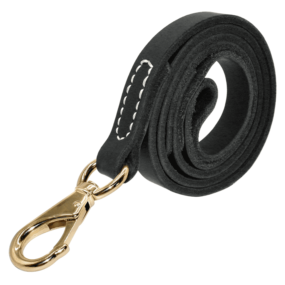 ⭐️Purr. Meow. Woof.⭐️ - Leather Estate Dog Lead - Black