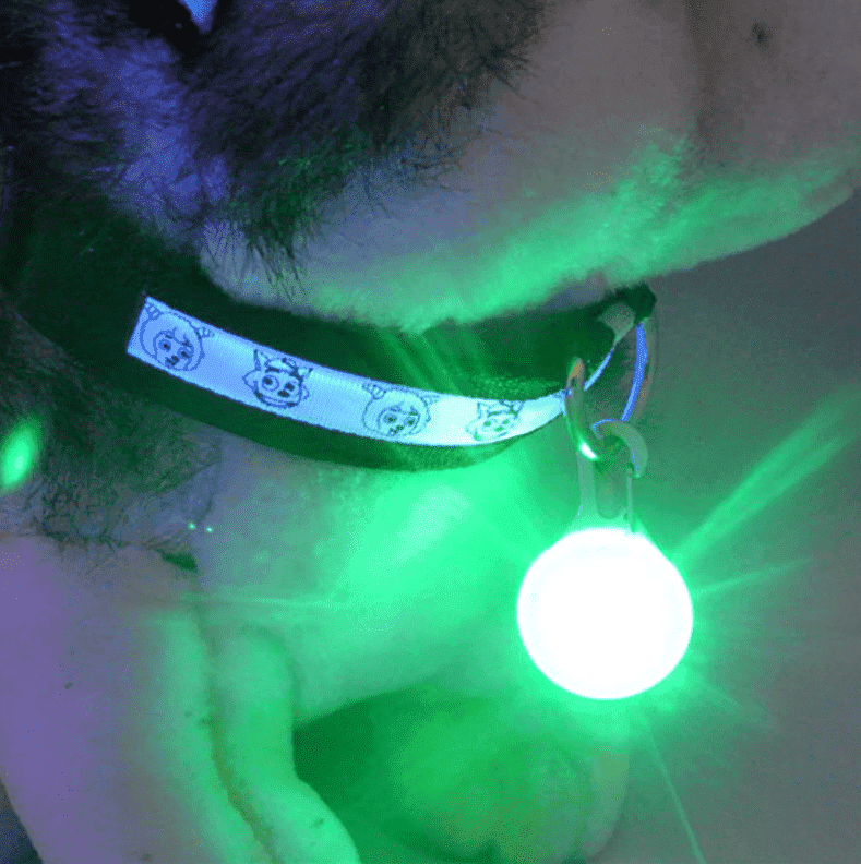 ⭐️Purr. Meow. Woof.⭐️ - LED Dog Collar Light Pendant - Green
