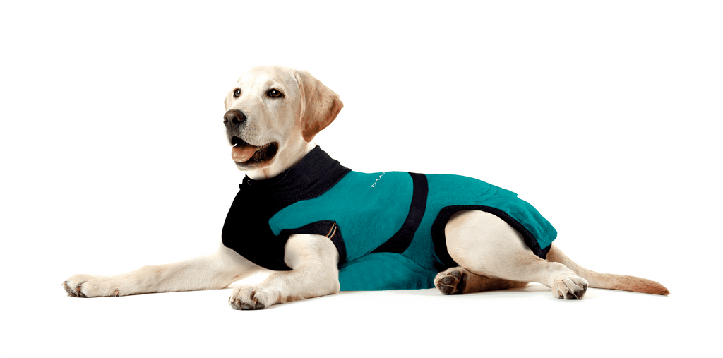 ⭐️Purr. Meow. Woof.⭐️ - MAXX Medical Pet Care Clothing For Dogs - 4XS / Firebrick