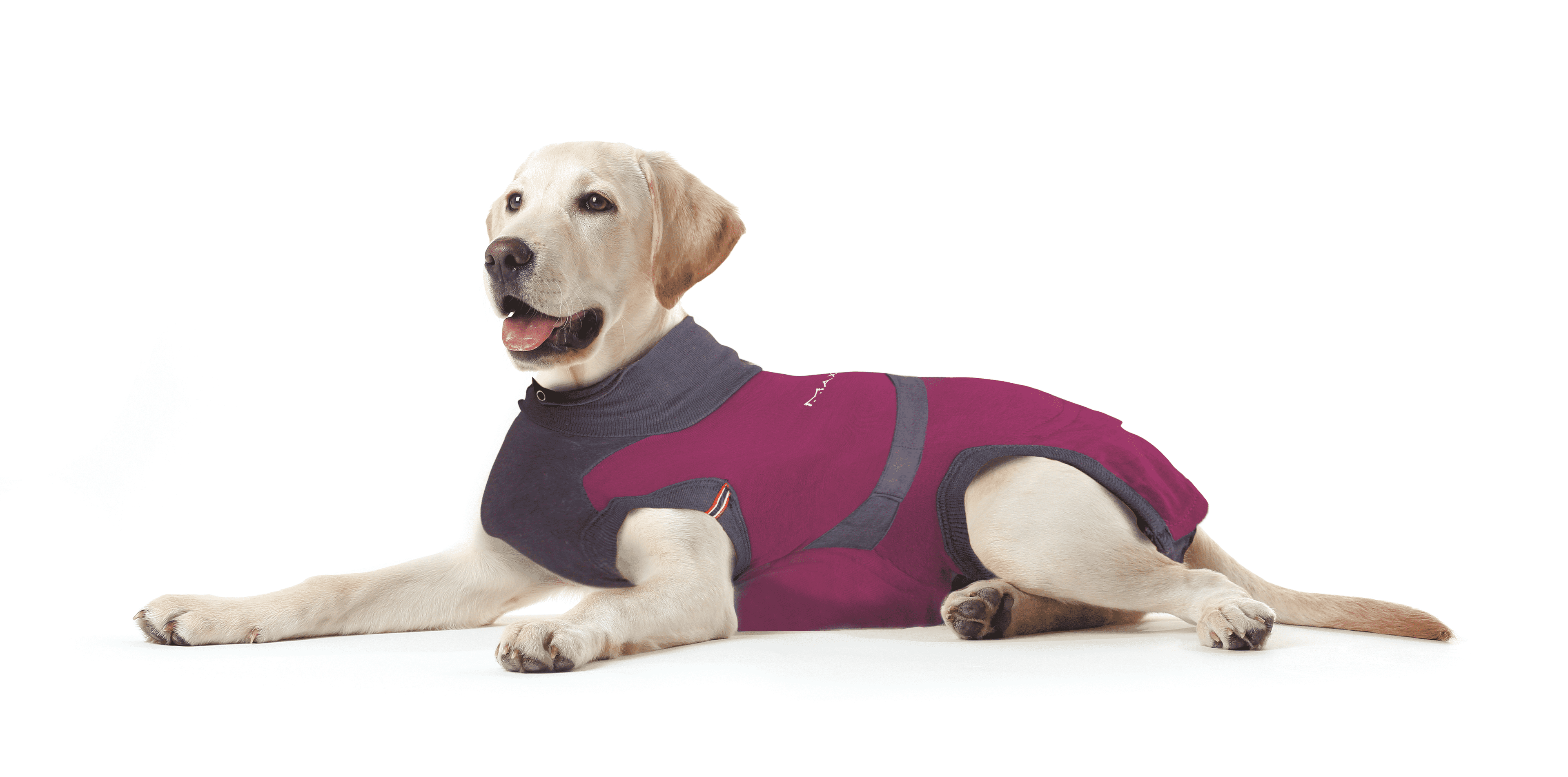 ⭐️Purr. Meow. Woof.⭐️ - MAXX Medical Pet Care Clothing For Dogs - 4XS / Firebrick