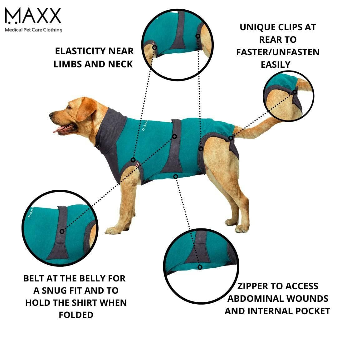 ⭐️Purr. Meow. Woof.⭐️ - MAXX Medical Pet Care Clothing For Dogs - 4XS / Firebrick