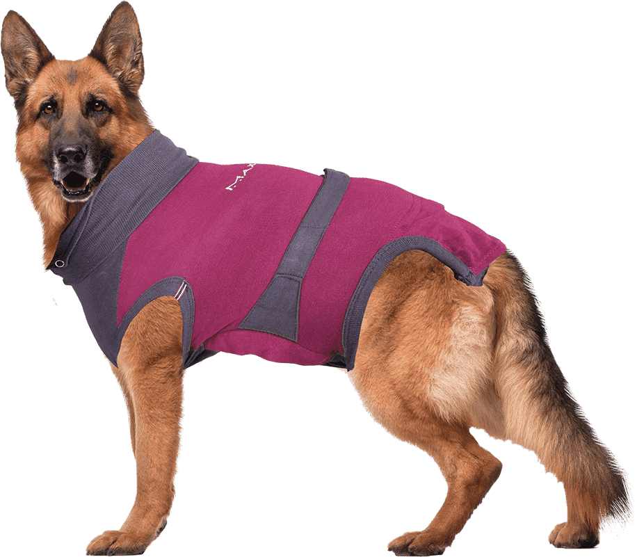 ⭐️Purr. Meow. Woof.⭐️ - MAXX Medical Pet Care Clothing For Dogs - XL / Firebrick