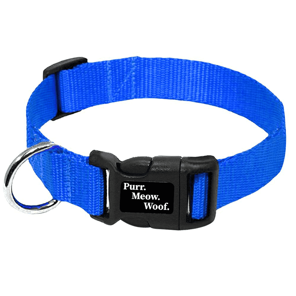 ⭐️Purr. Meow. Woof.⭐️ - PMW Basics Dog Collar - Blue / M