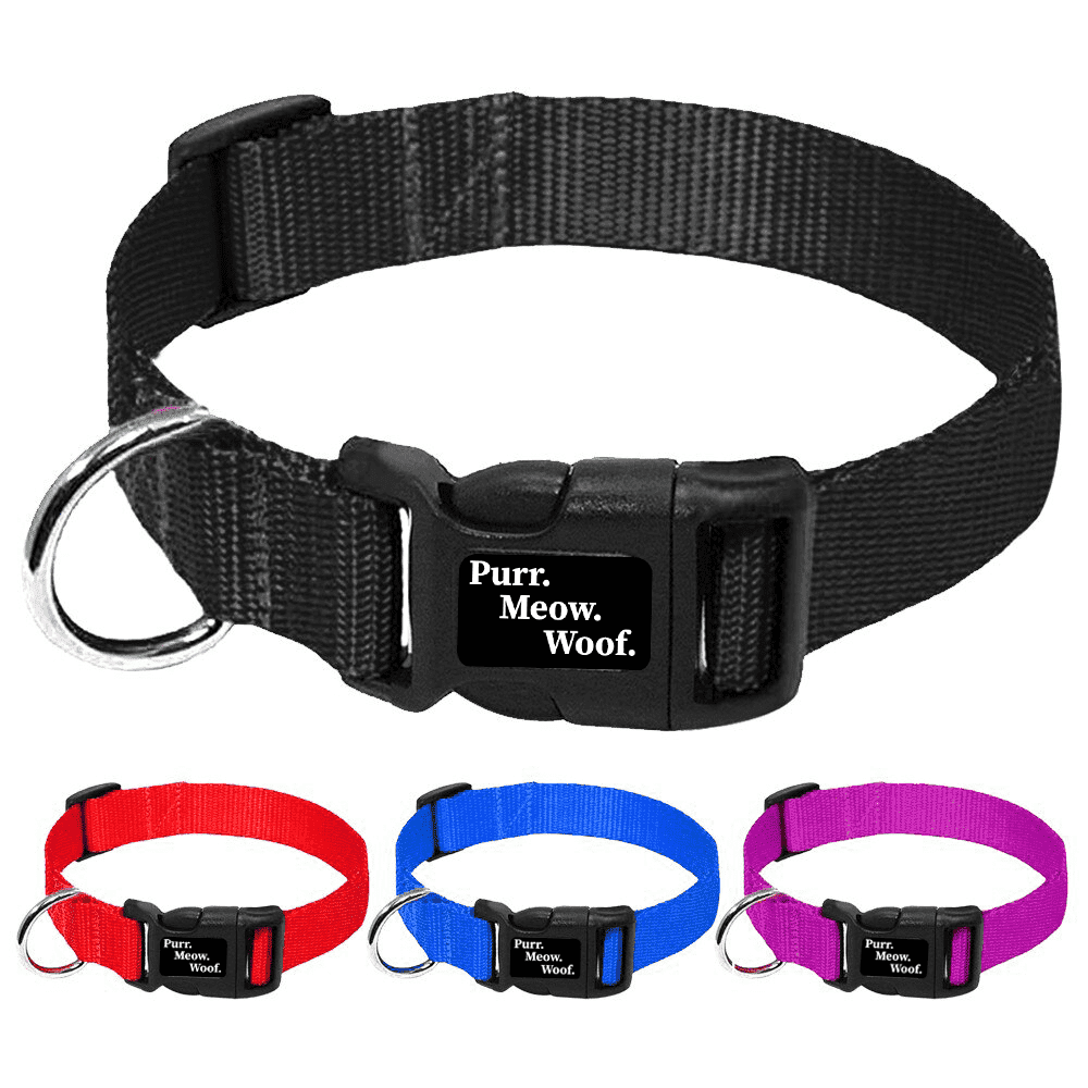 ⭐️Purr. Meow. Woof.⭐️ - PMW Basics Dog Collar - Blue / M