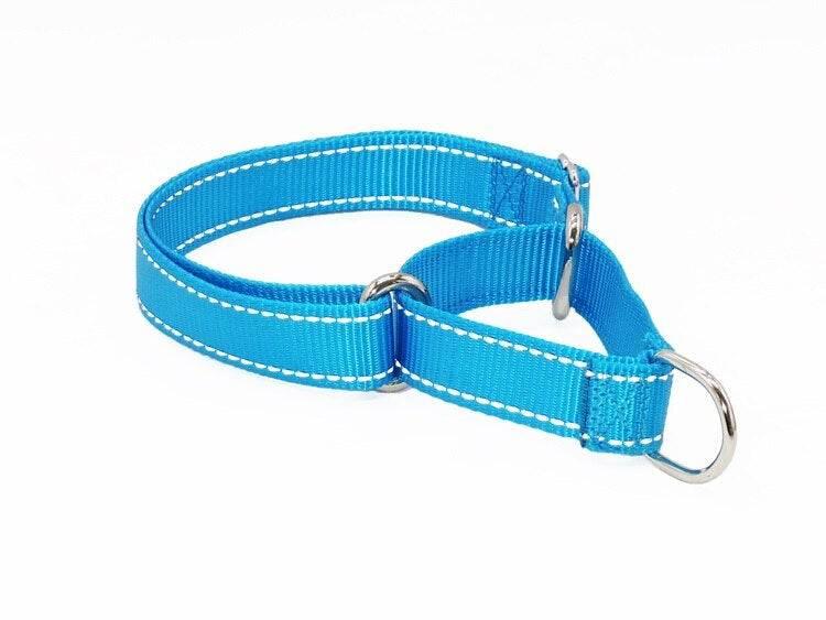 ⭐️Purr. Meow. Woof.⭐️ - PMW Basics Martingale Dog Collar - DodgerBlue / S