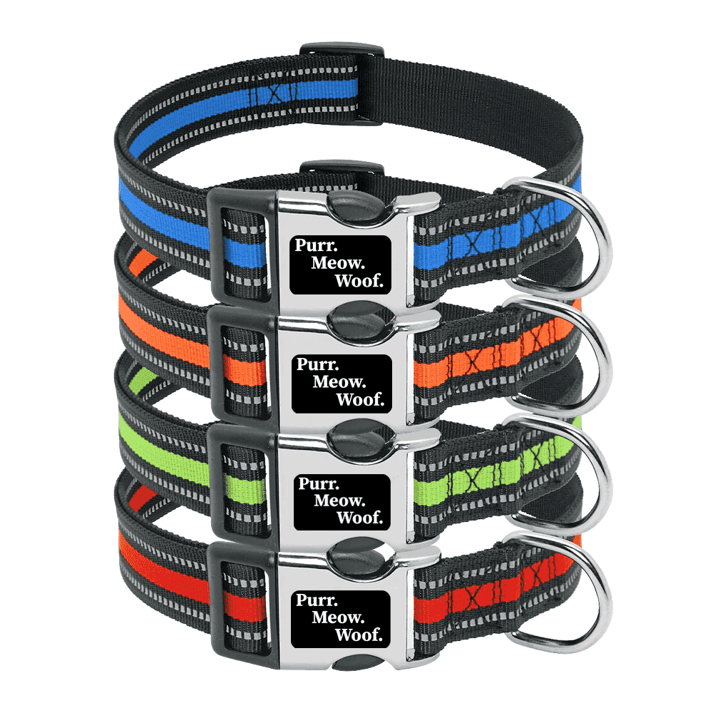 ⭐️Purr. Meow. Woof.⭐️ - Slim Reflective Dog Collar - Orange / S / No