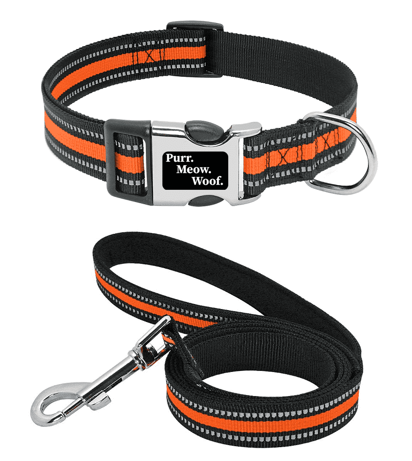 ⭐️Purr. Meow. Woof.⭐️ - Slim Reflective Dog Collar - Orange / S / No