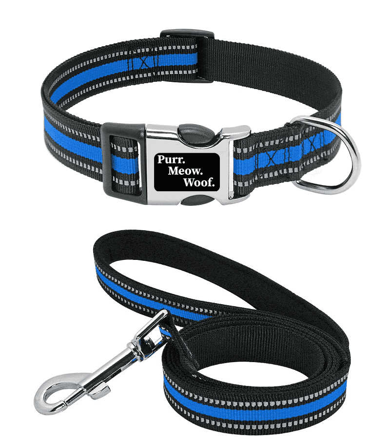 ⭐️Purr. Meow. Woof.⭐️ - Slim Reflective Dog Collar - RoyalBlue / S / Yes!