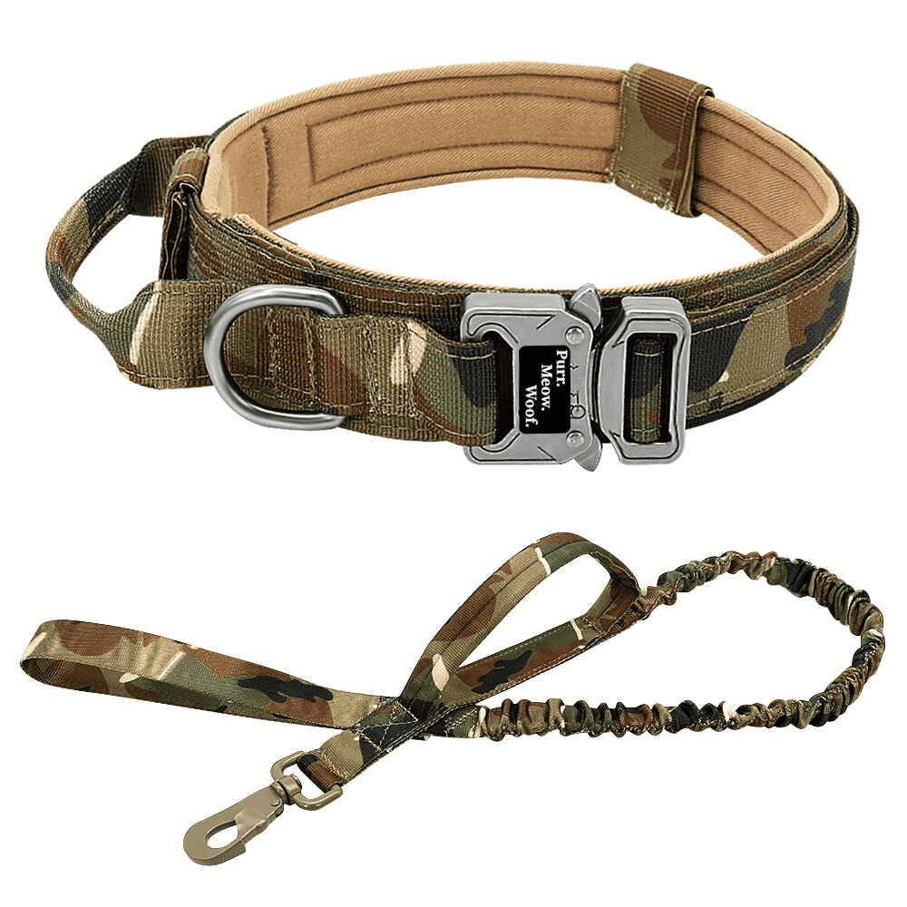⭐️Purr. Meow. Woof.⭐️ - Tactical Dog Collar - DarkOliveGreen / M / Yes!