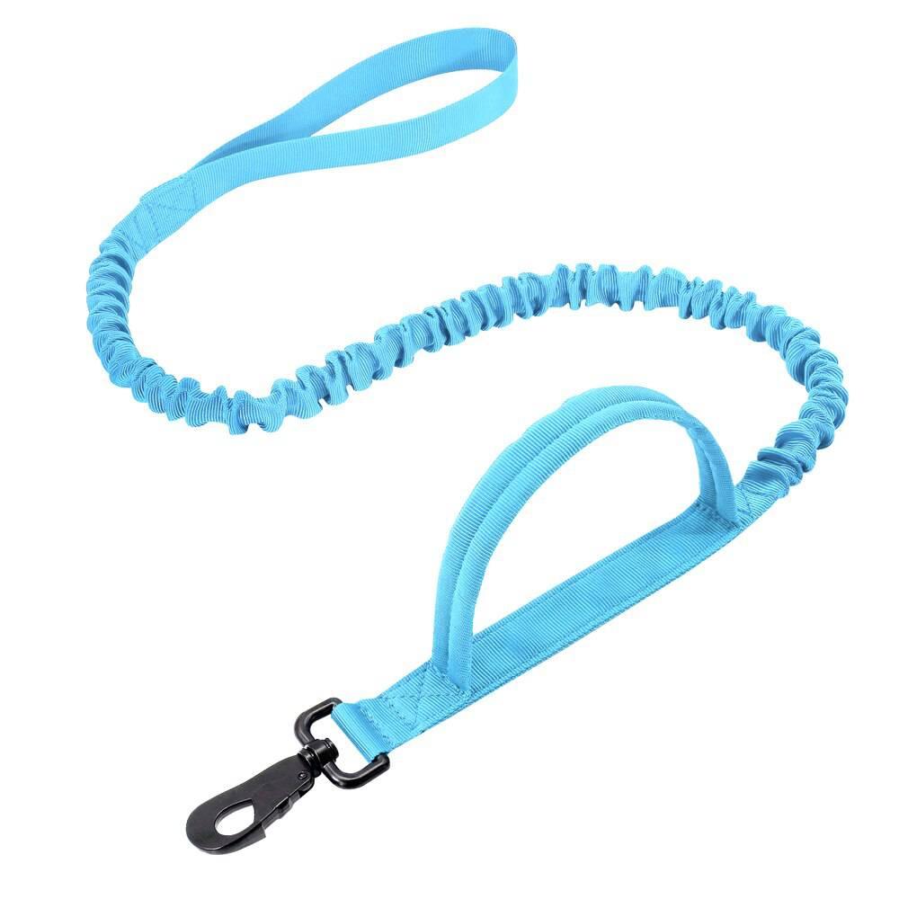 ⭐️Purr. Meow. Woof.⭐️ - Tactical Dog Lead - DeepSkyBlue