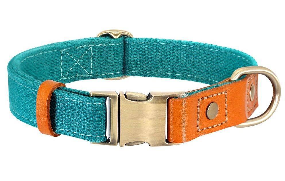 ⭐️Purr. Meow. Woof.⭐️ - Two Tone Executive Dog Collar - DarkCyan / S / No