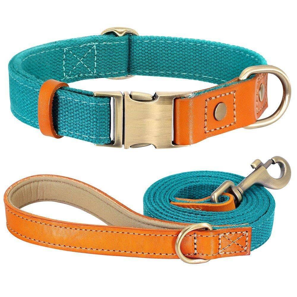 ⭐️Purr. Meow. Woof.⭐️ - Two Tone Executive Dog Collar - DarkCyan / S / Yes!