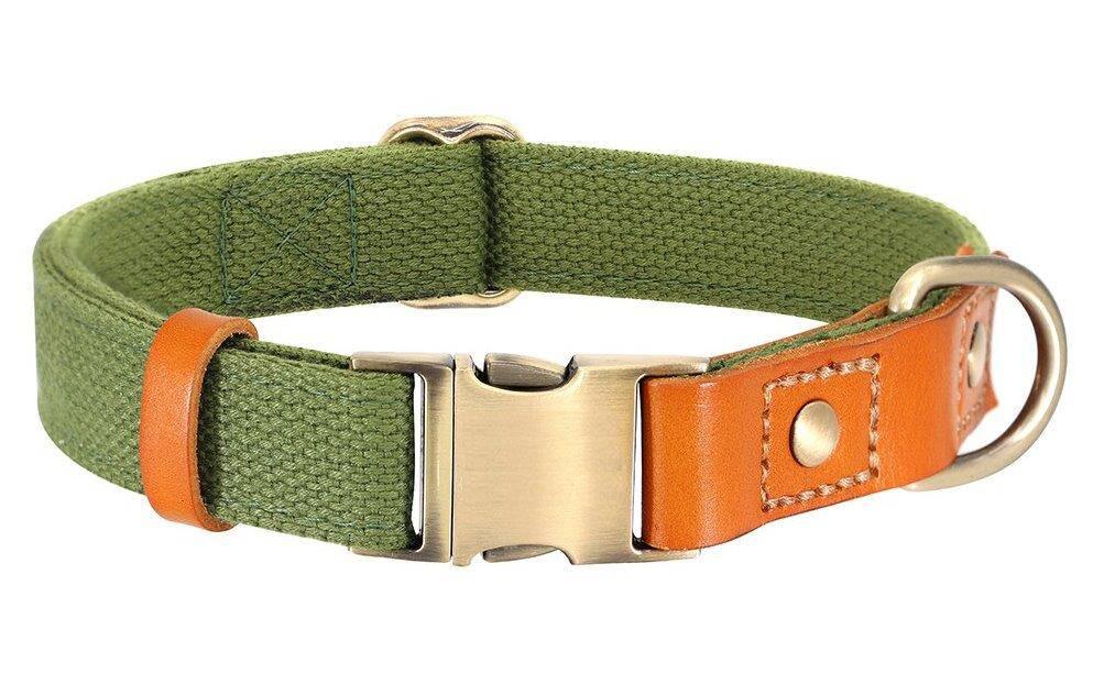 ⭐️Purr. Meow. Woof.⭐️ - Two Tone Executive Dog Collar - DarkOliveGreen / S / No