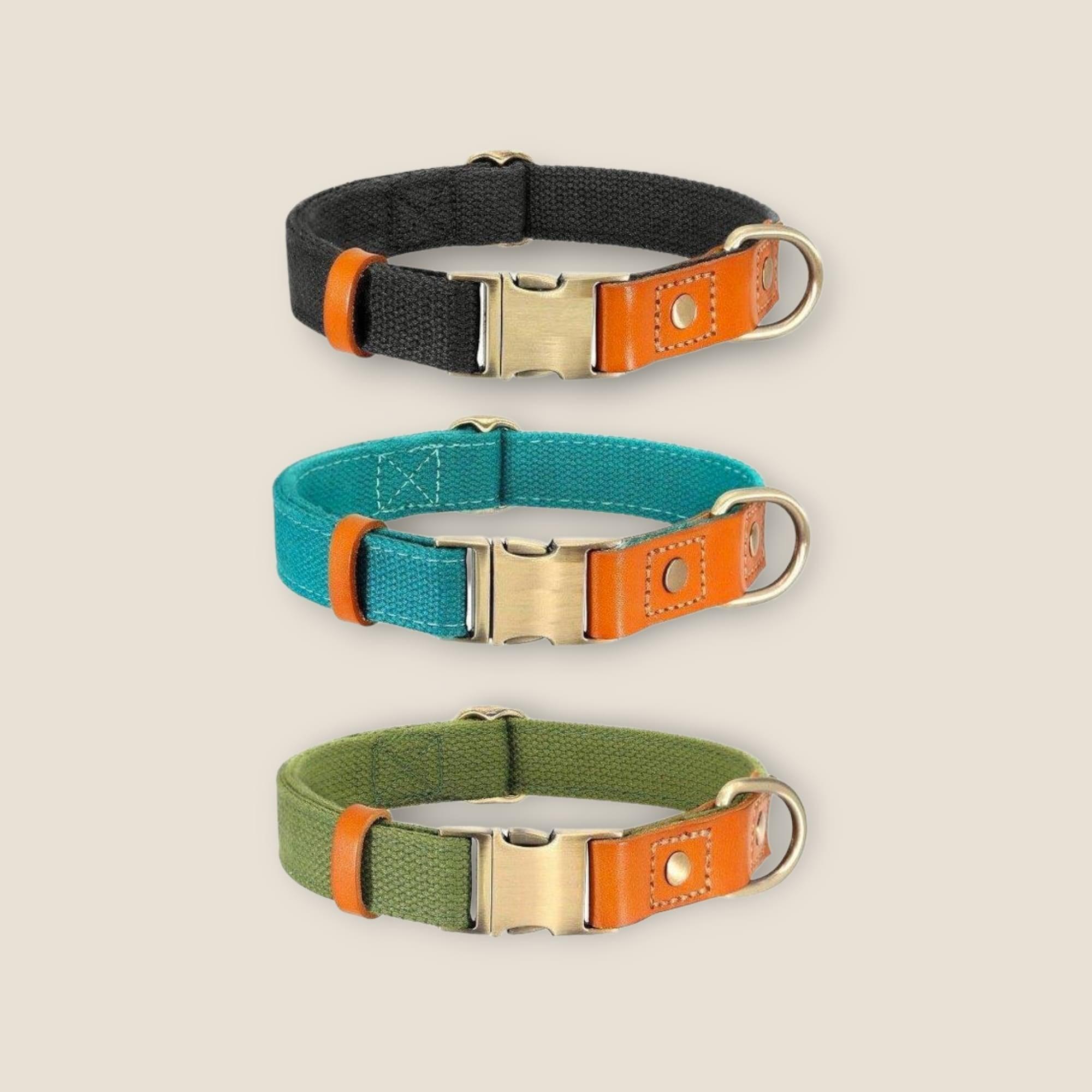 ⭐️Purr. Meow. Woof.⭐️ - Two Tone Executive Dog Collar - DarkOliveGreen / S / No