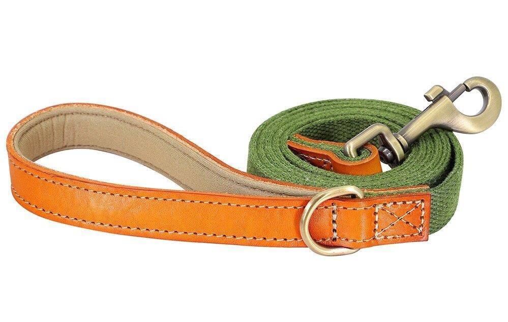⭐️Purr. Meow. Woof.⭐️ - Two Tone Executive Dog Lead - DarkGreen
