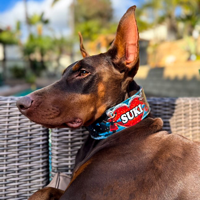 The M&M Limited SET-2