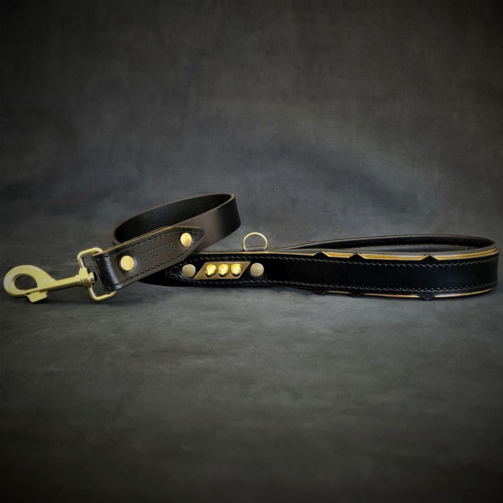 The ''Midas'' leash-1